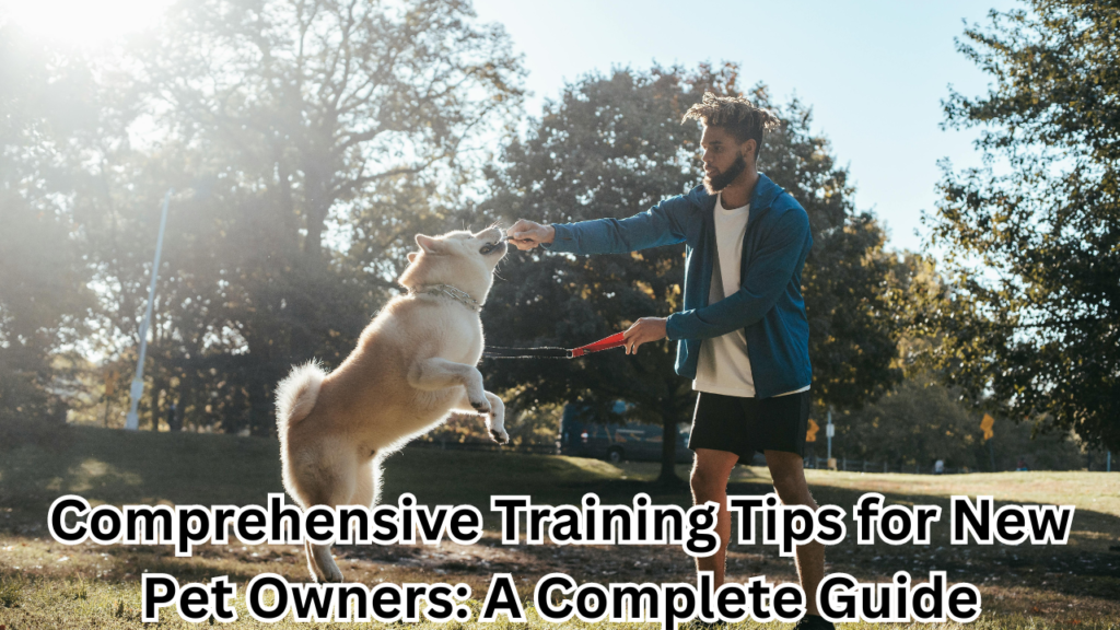 training tips