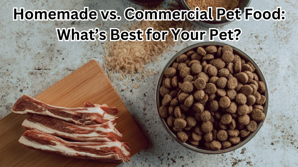 homemade vs commercial pet food