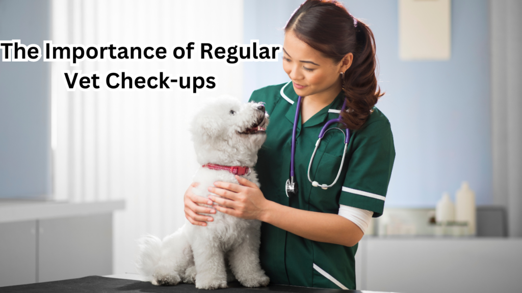 Regular Vet Check-ups