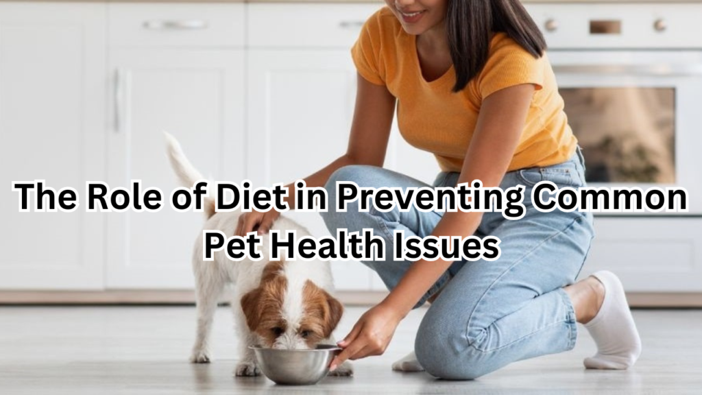 Common Pet Health Issues