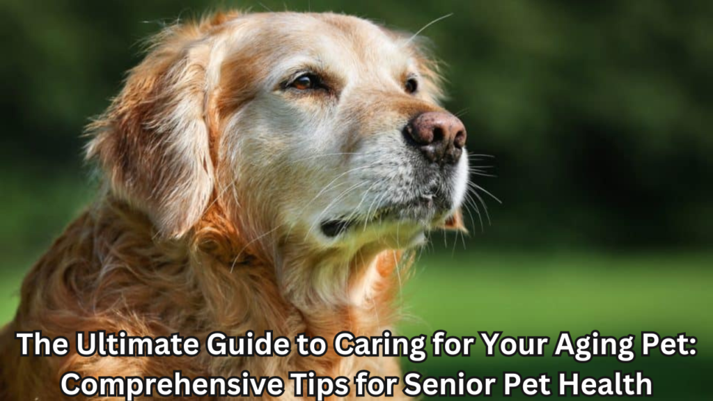 Aging Pet