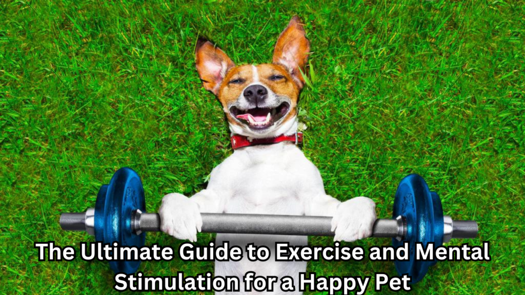 Exercise and Mental Stimulation