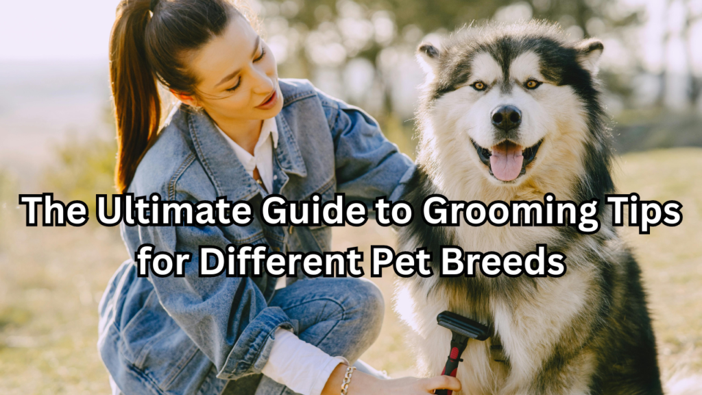 Grooming Tips