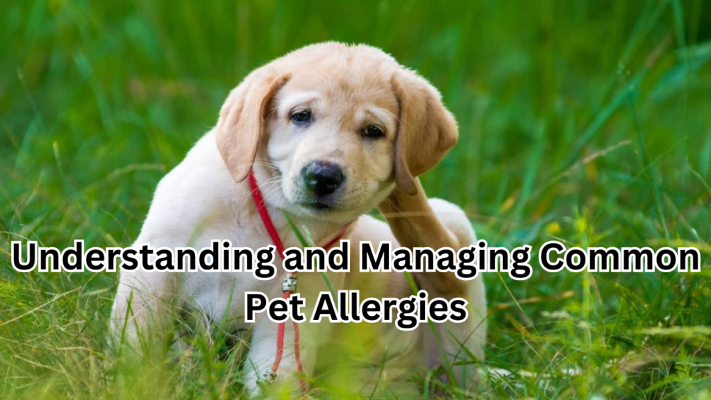 Pet Allergies