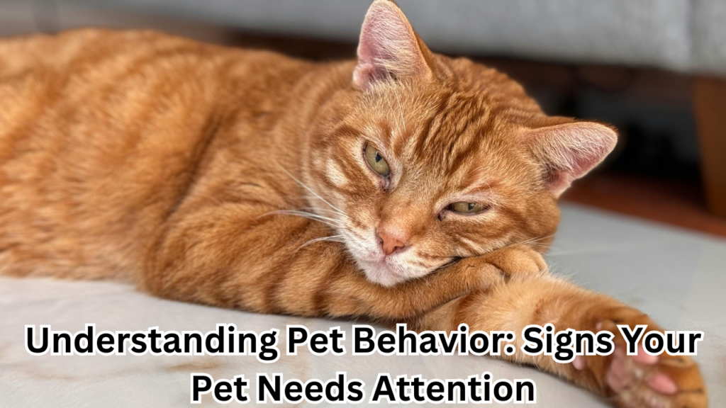 Understanding Pet Behavior