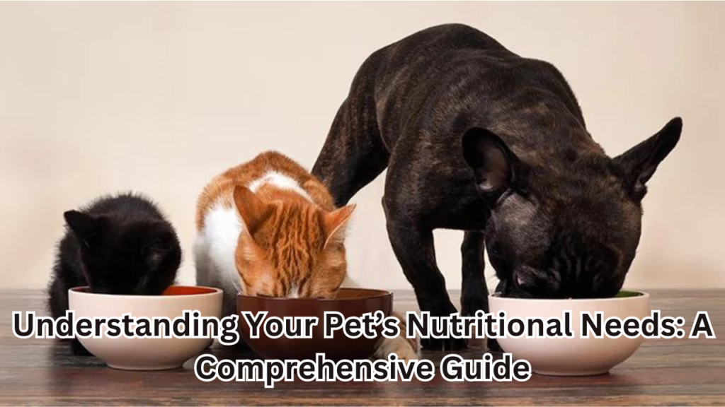 Your Pets Nutritional Needs