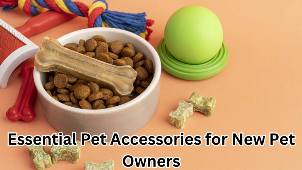 Pet Accessories