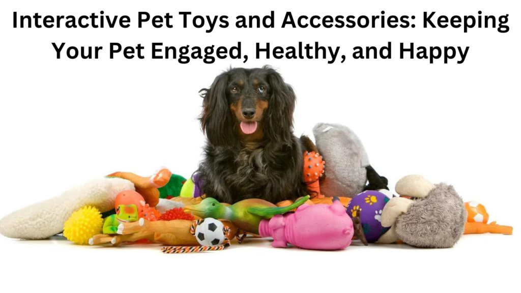 Interactive Pet Toys and Accessories