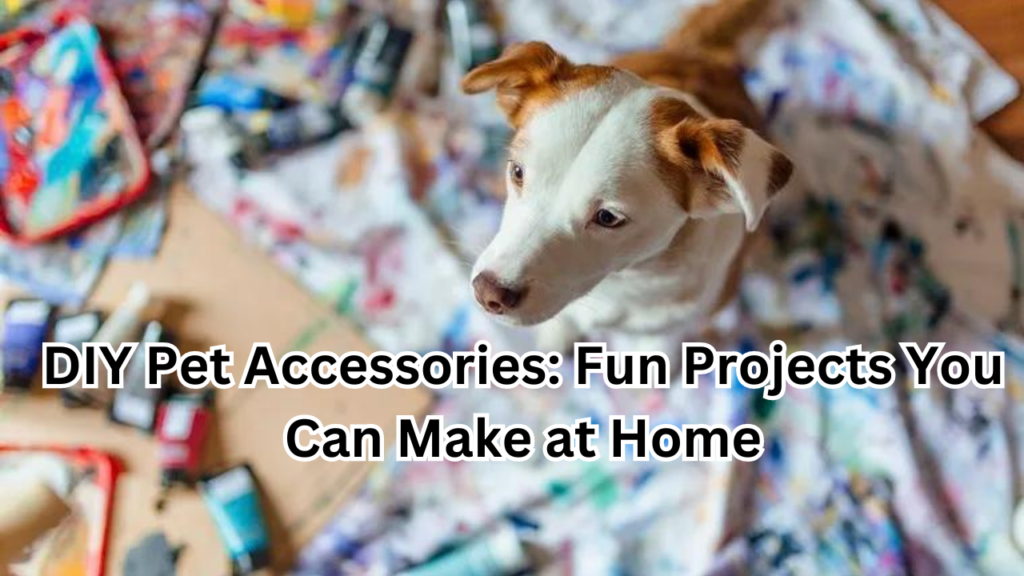 DIY Pet Accessories