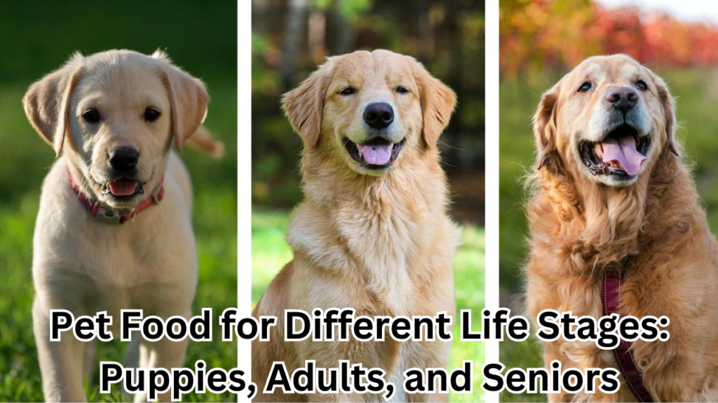 Pet Food for Different Life Stages