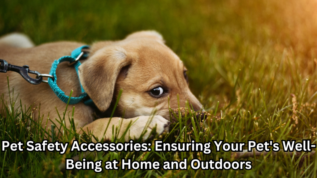 Pet Safety Accessories