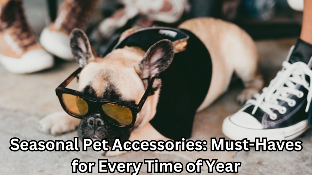 Seasonal Pet Accessories