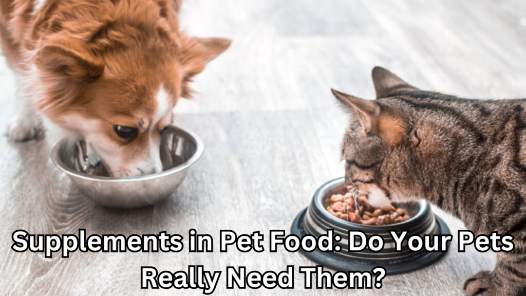 Supplements in Pet Food