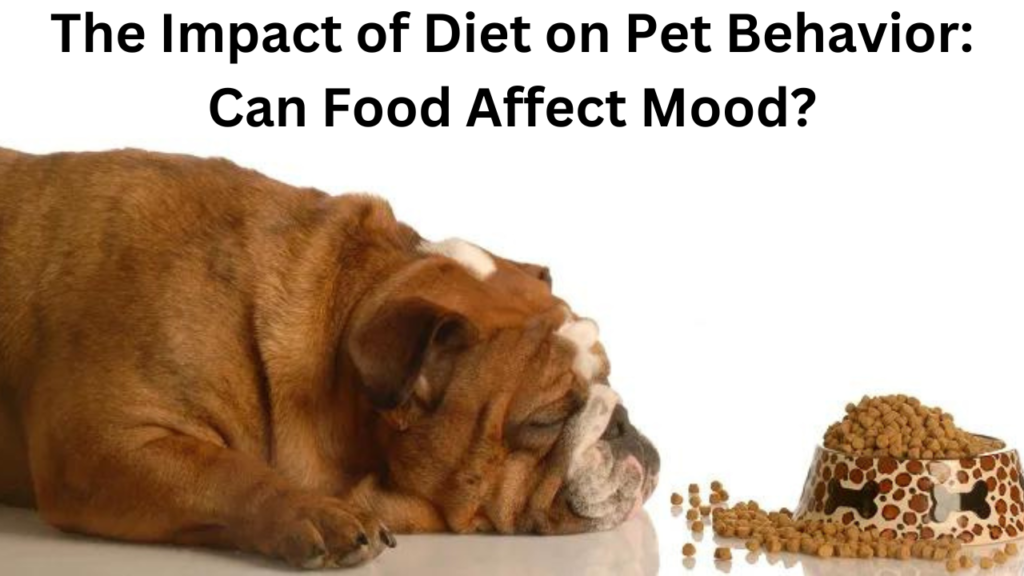 Impact of Diet on Pet Behavior