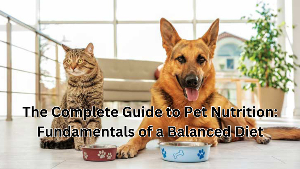 Pet Nutrition