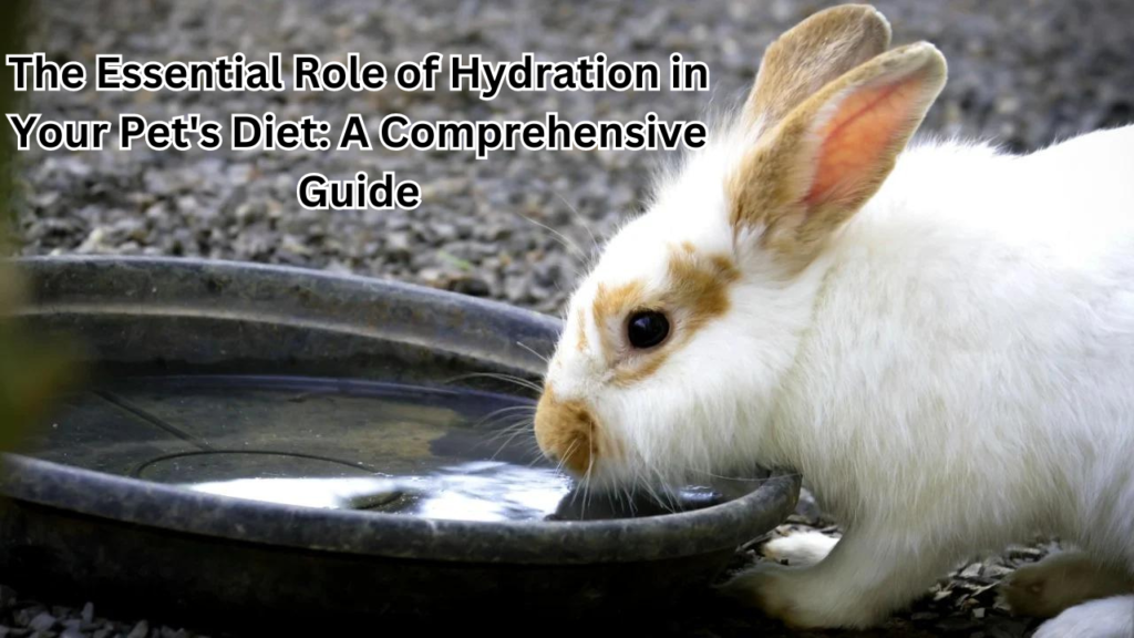 Role of Hydration