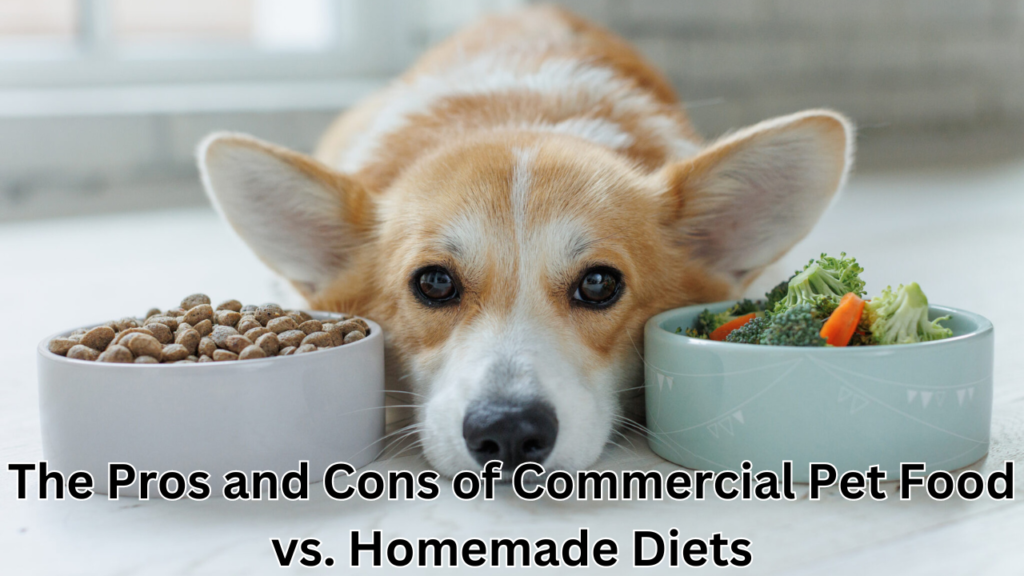 commercial pet food vs homemade diets