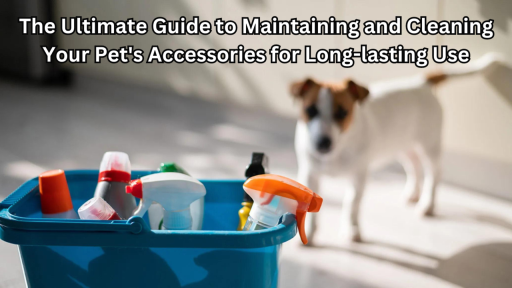 cleaning your pets accessories