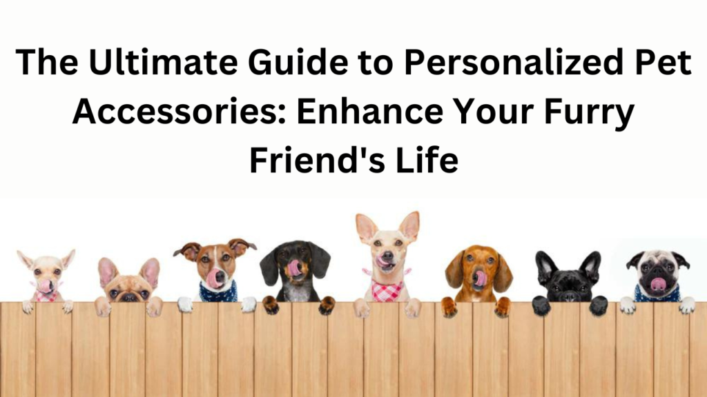 Personalized Pet Accessories