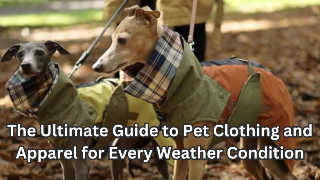 Pet Clothing