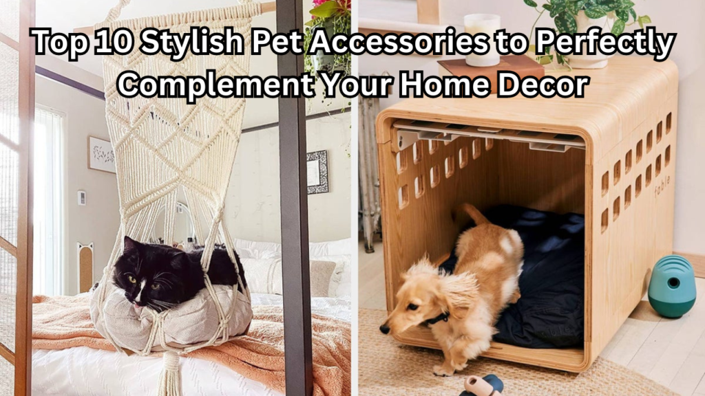 Stylish Pet Accessories