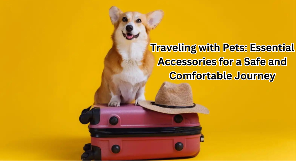 Traveling with Pets