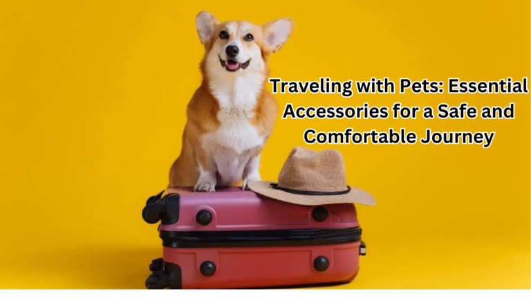 Traveling with Pets