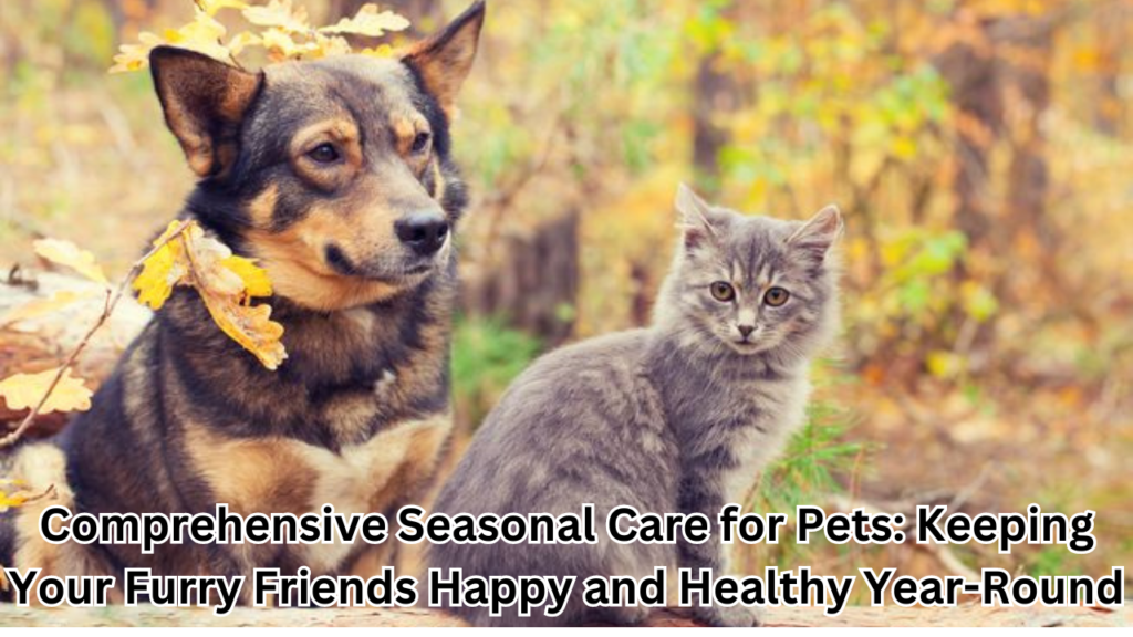 Seasonal Care for Pets