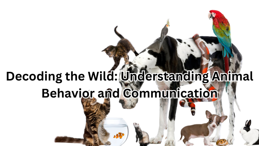 Understanding animal behavior