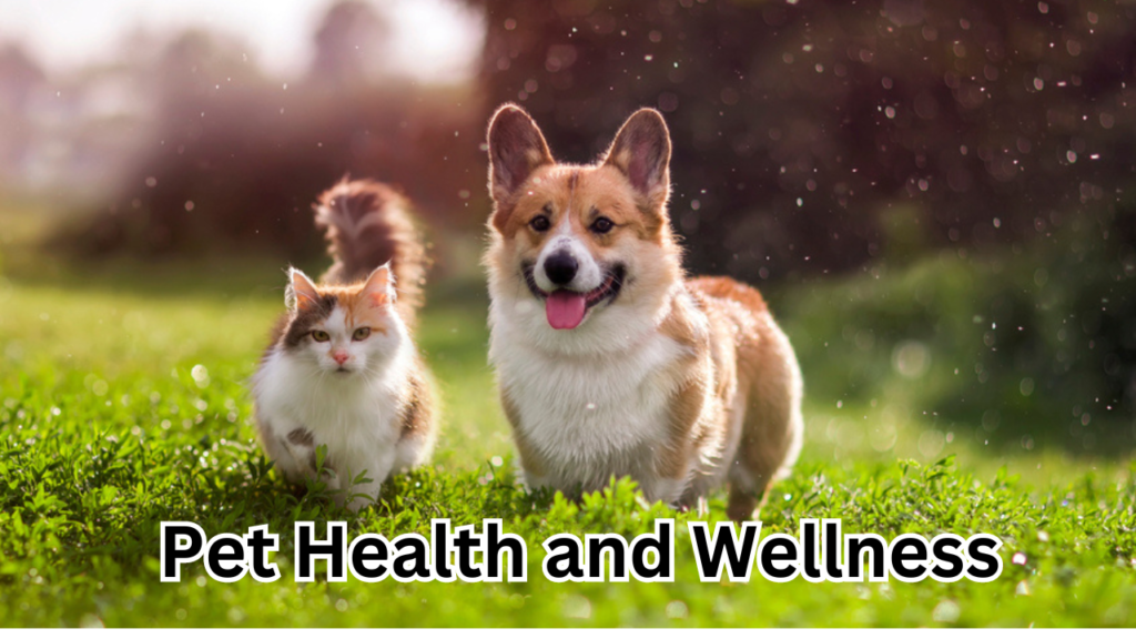 pet health and wellness