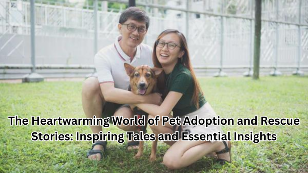 Pet Adoption and Rescue