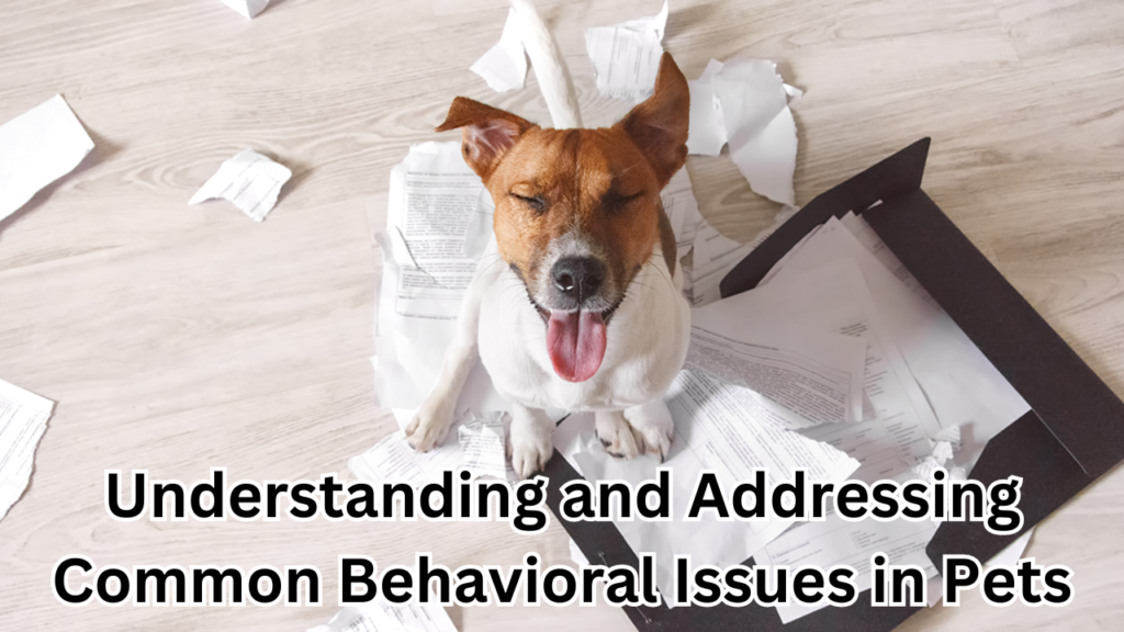 Common Behavioral Issues