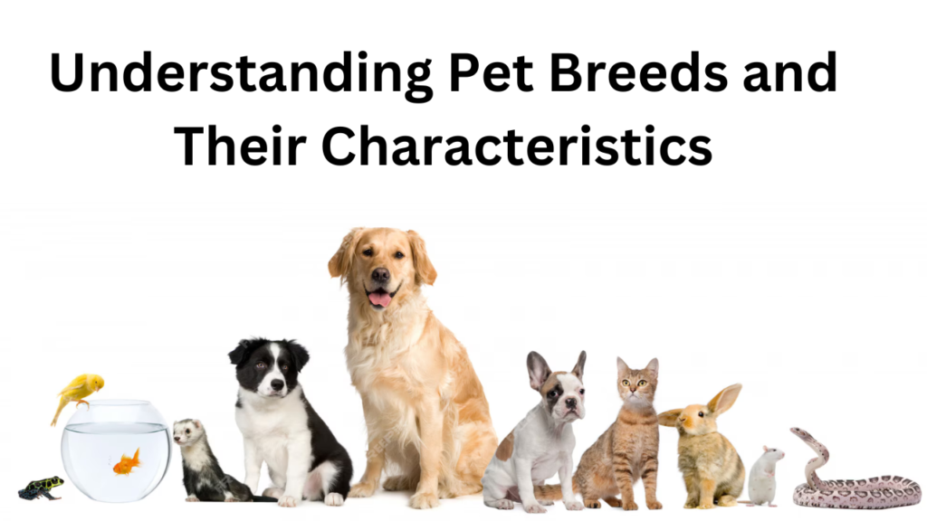 pet breeds