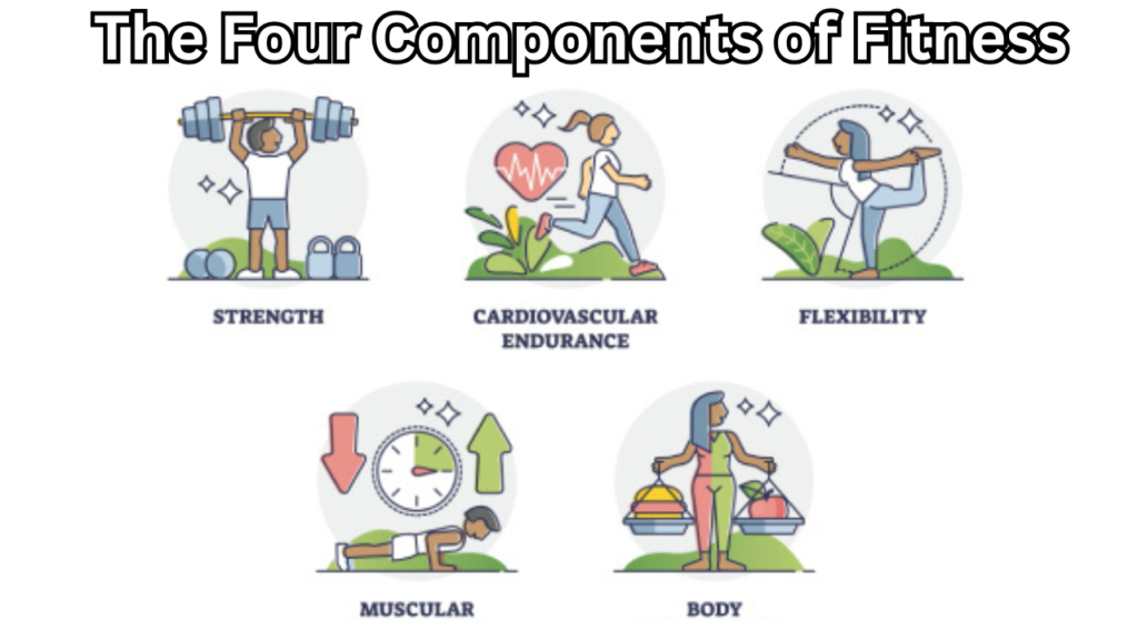 The Four Components of Fitness