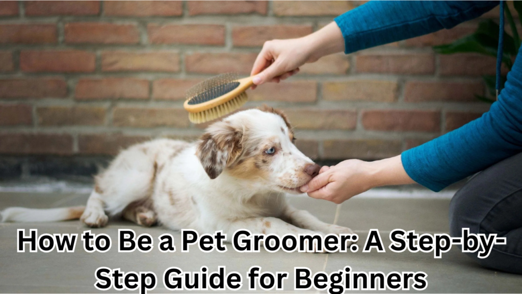 How to Be a Pet Groomer