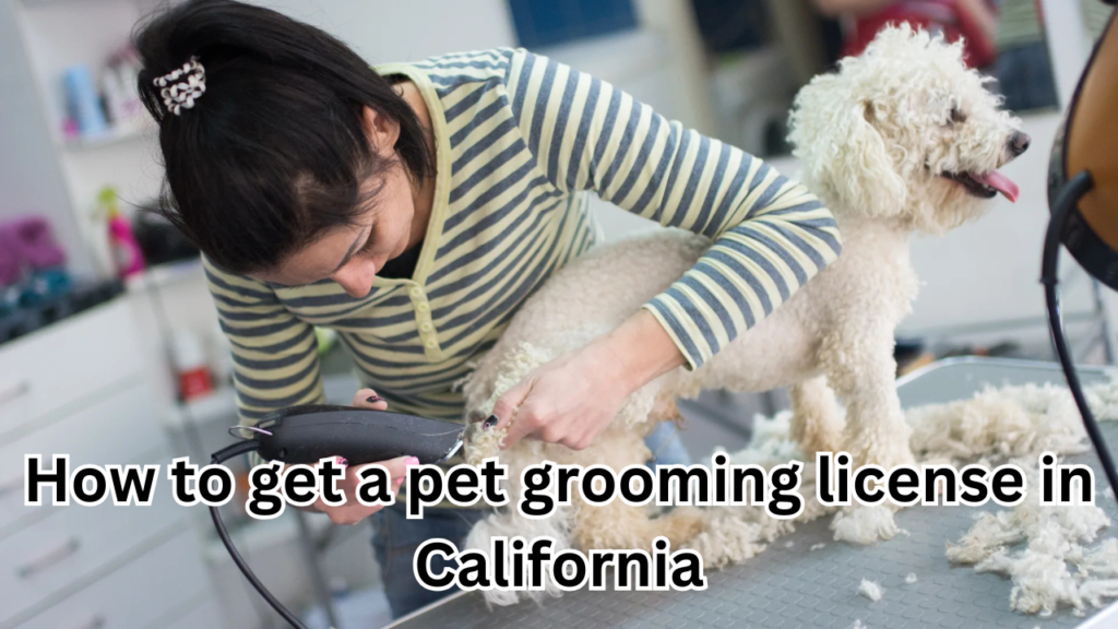 How to get a pet grooming license in California