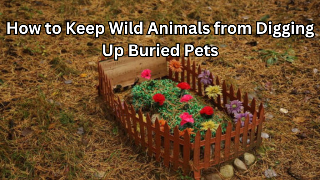 How to Keep Wild Animals from Digging Up Buried Pets