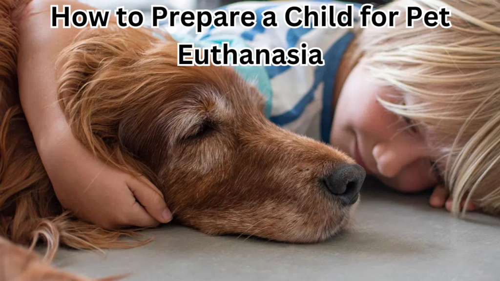 How to Prepare a Child for Pet Euthanasia